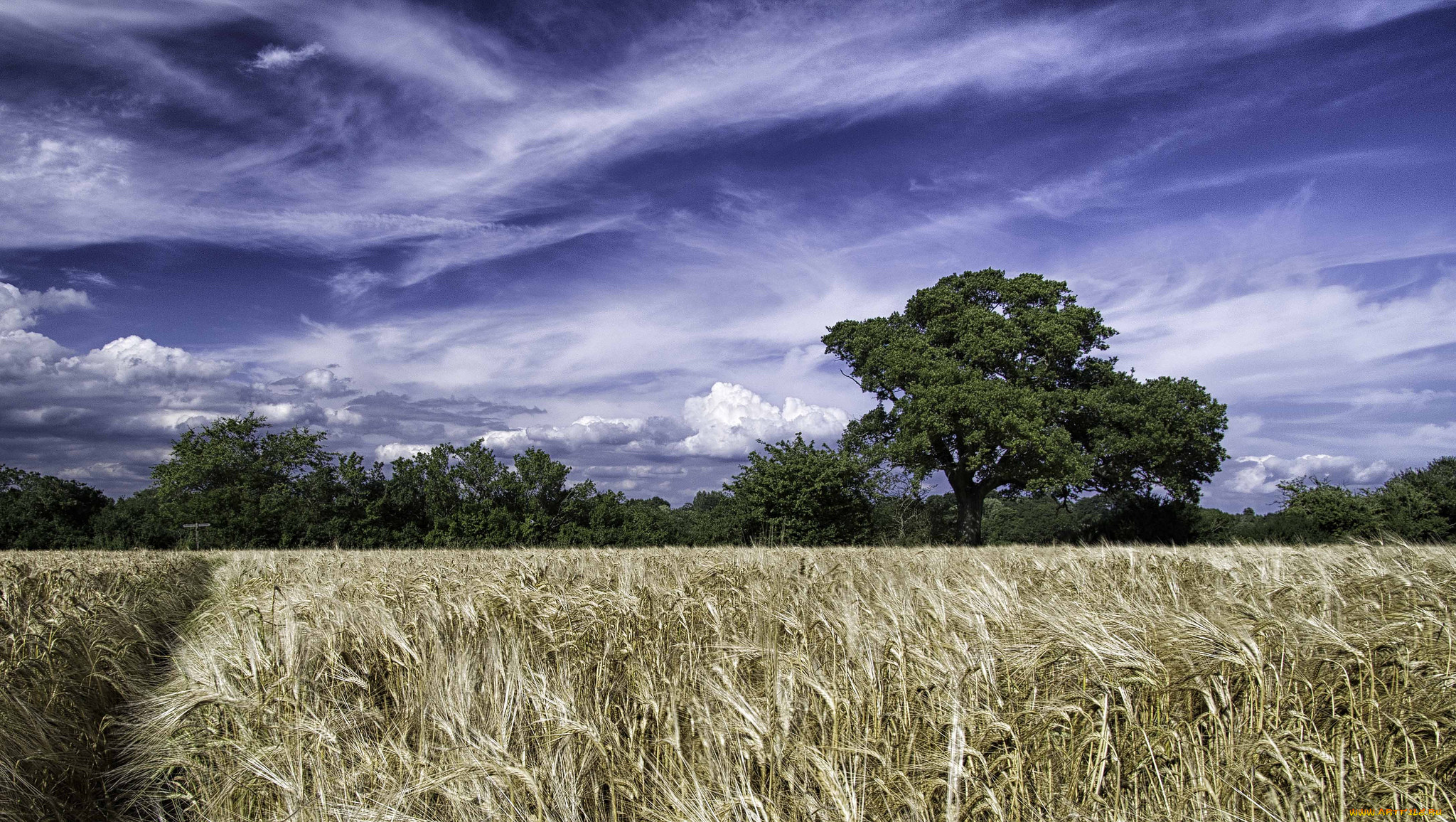 west, sussex, england, , , , , , , 